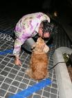 生活照 #92：米基·洛克 Mickey Rourke