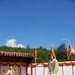 剧照 #13 省略图