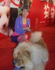 生活照 #36：颜丹晨 Danchen Yan