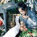写真 #228 省略图