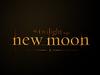 暮色2：新月/The Twilight Saga: New Moon(2009)