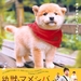 海报 #01 省略图