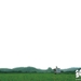 钝兽 桌面 #01A