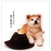 DVD封套 #01 省略图