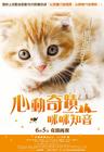 小猫奇缘 海报(台湾) #02