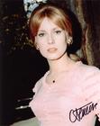 写真 #0224：凯瑟琳·德纳芙 Catherine Deneuve