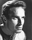 生活照 #0008：查尔登·海斯顿 Charlton Heston