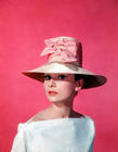 写真 #142：奥黛丽·赫本 Audrey Hepburn