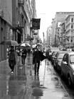 写真 #11：吉约姆·卡内 Guillaume Canet