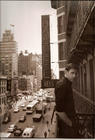 写真 #50：约翰·卡拉辛斯基 John Krasinski