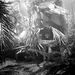 独立 剧照 #03