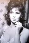 写真 #18：吉娜·劳洛勃丽吉达 Gina Lollobrigida