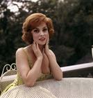 写真 #13：吉娜·劳洛勃丽吉达 Gina Lollobrigida