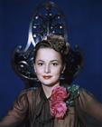 写真 #0024：奥利维娅·德哈维兰 Olivia de Havilland