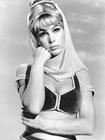 写真 #06：芭芭拉·伊登 Barbara Eden