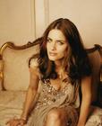 写真 #80：阿曼达·皮特 Amanda Peet