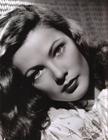 写真 #0008：吉恩·蒂尔尼 Gene Tierney