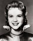 写真 #0003：安妮·弗朗西丝 Anne Francis