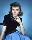写真 #0001：桃乐茜·麦姬尔 Dorothy McGuire