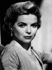写真 #0002：桃乐茜·麦姬尔 Dorothy McGuire