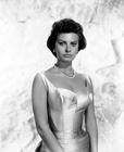 写真 #17：索菲娅·罗兰 Sophia Loren