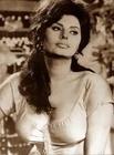 写真 #27：索菲娅·罗兰 Sophia Loren