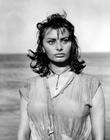 写真 #26：索菲娅·罗兰 Sophia Loren
