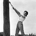 写真 #0002：贝弗利·加兰 Beverly Garland