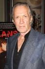 生活照 #11：大卫·卡拉丁 David Carradine