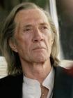 写真 #12：大卫·卡拉丁 David Carradine