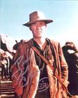 写真 #14：大卫·卡拉丁 David Carradine