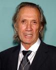 生活照 #19：大卫·卡拉丁 David Carradine