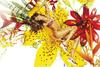 写真 #153：吉赛尔·邦辰 Gisele Bundchen