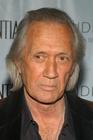 生活照 #09：大卫·卡拉丁 David Carradine