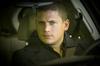 写真 #288：文特沃斯·米勒 Wentworth Miller