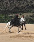 罗宾汉 工作照 #05