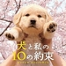 原声碟封套 #01 省略图