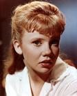 写真 #0001：海莉·米尔斯 Hayley Mills
