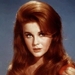 写真 #0001：安·玛格丽特 Ann Margret