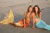 写真 #24：伊莎贝尔·卢卡斯 Isabel Lucas