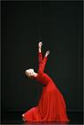 写真 #14：皮娜·鲍什 Pina Bausch