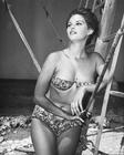写真 #445：克劳迪娅·卡汀娜 Claudia Cardinale