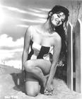 写真 #446：克劳迪娅·卡汀娜 Claudia Cardinale
