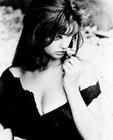写真 #442：克劳迪娅·卡汀娜 Claudia Cardinale