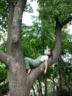 写真 #225：邓丽欣 Stephy Tang