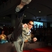 生活照 #0013：尚格·云顿 Jean-Claude Van Damme