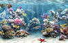 海底世界3D/Under the Sea 3D(2009)