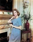 写真 #23：劳伦·白考尔 Lauren Bacall