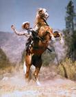 生活照 #0002：罗伊·罗杰斯 Roy Rogers
