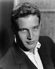写真 #74：保罗·纽曼 Paul Newman